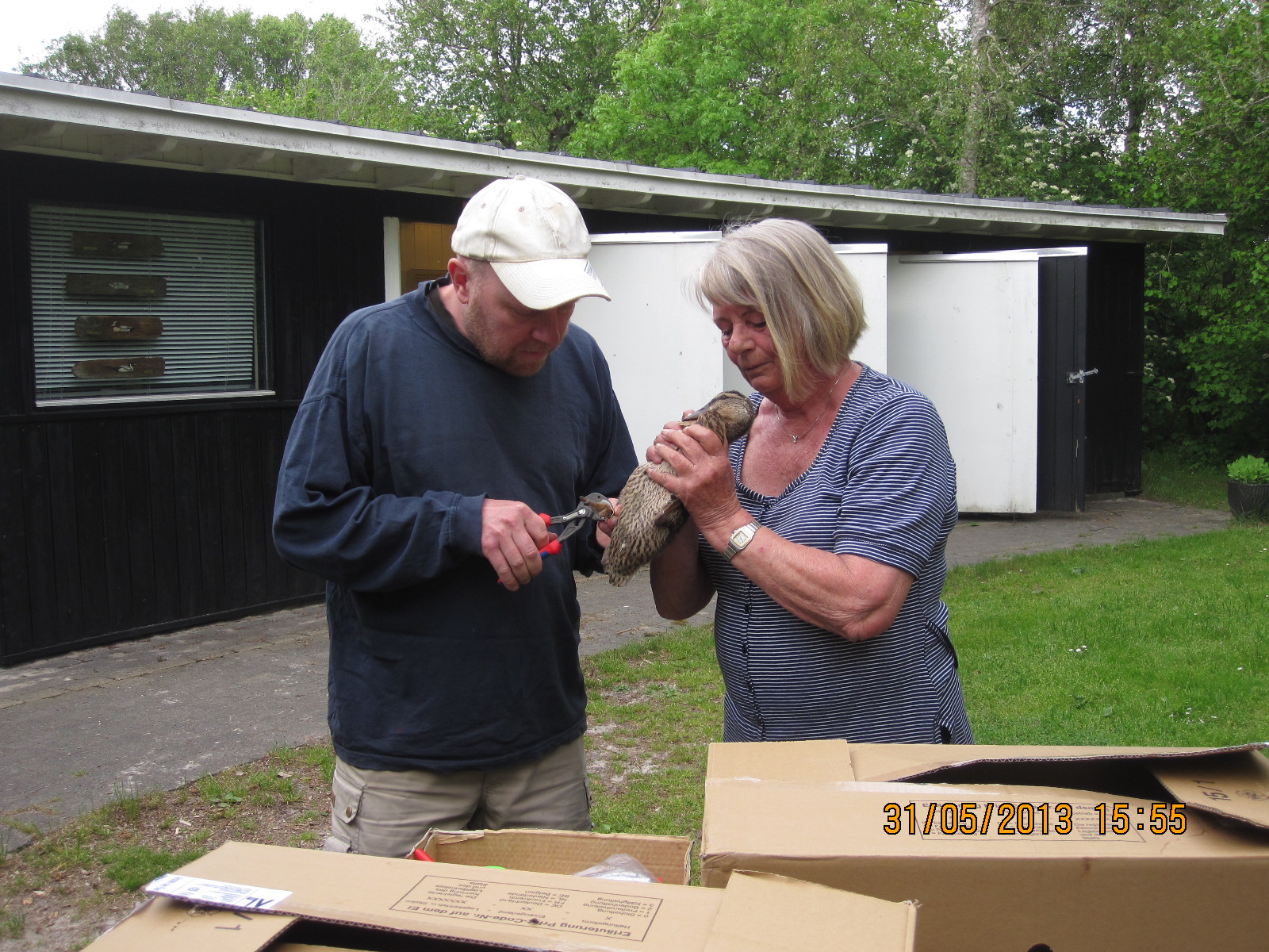 de_13_anders_tur_til_fuglekojen_12_20130811_2013814416