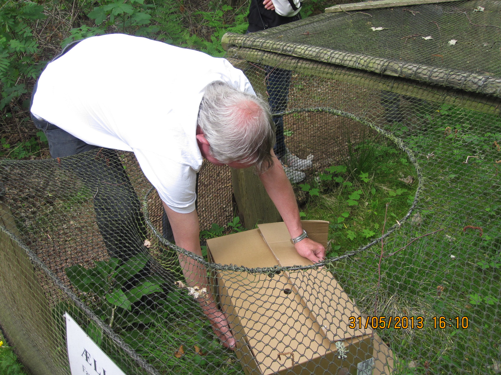 de_13_anders_tur_til_fuglekojen_15_20130811_1964745532