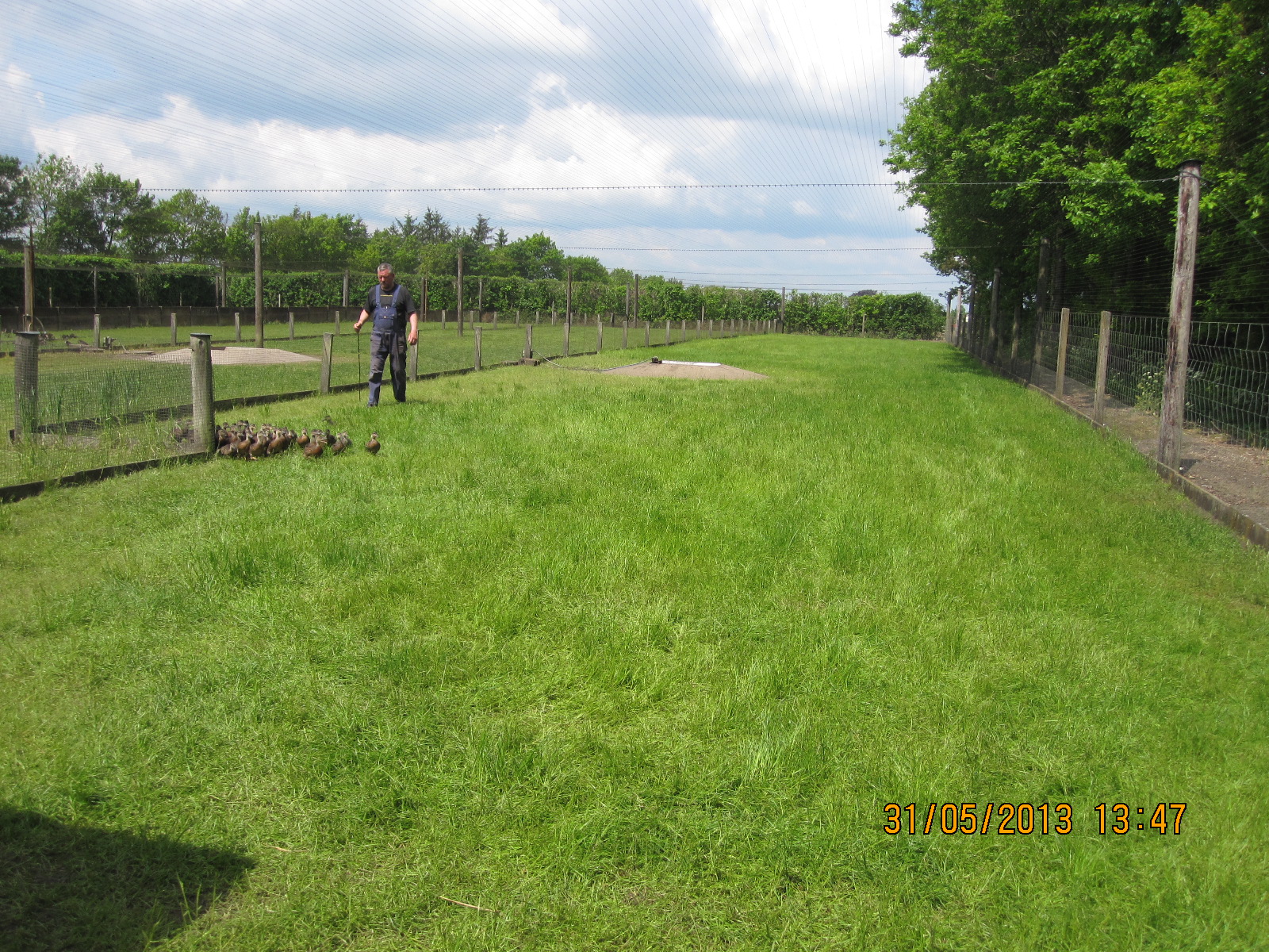 de_13_anders_tur_til_fuglekojen_1_20130811_1227012709