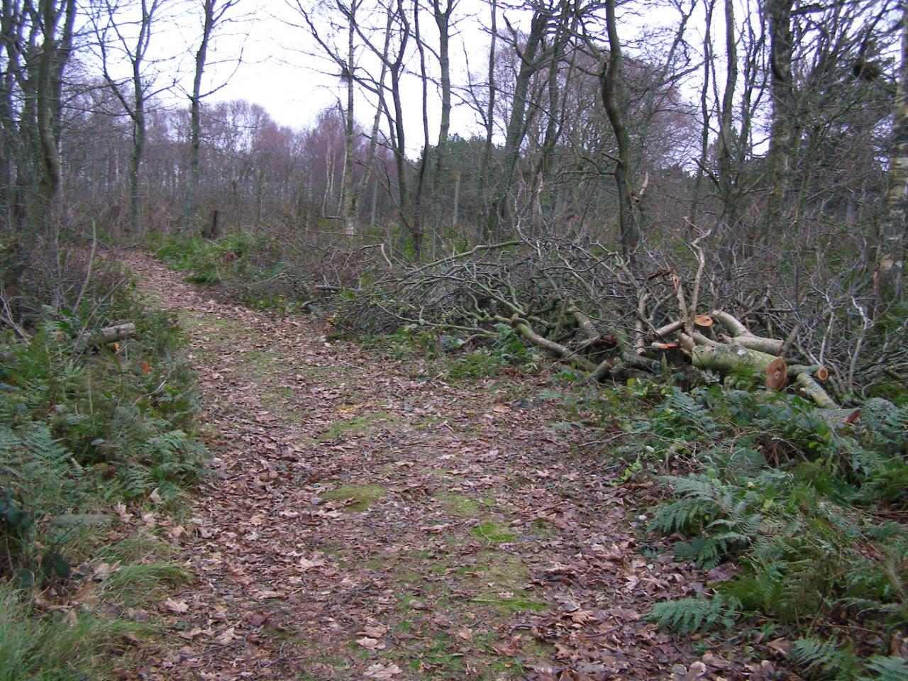 arbejdsdag_2013_5_20140427_1245974693